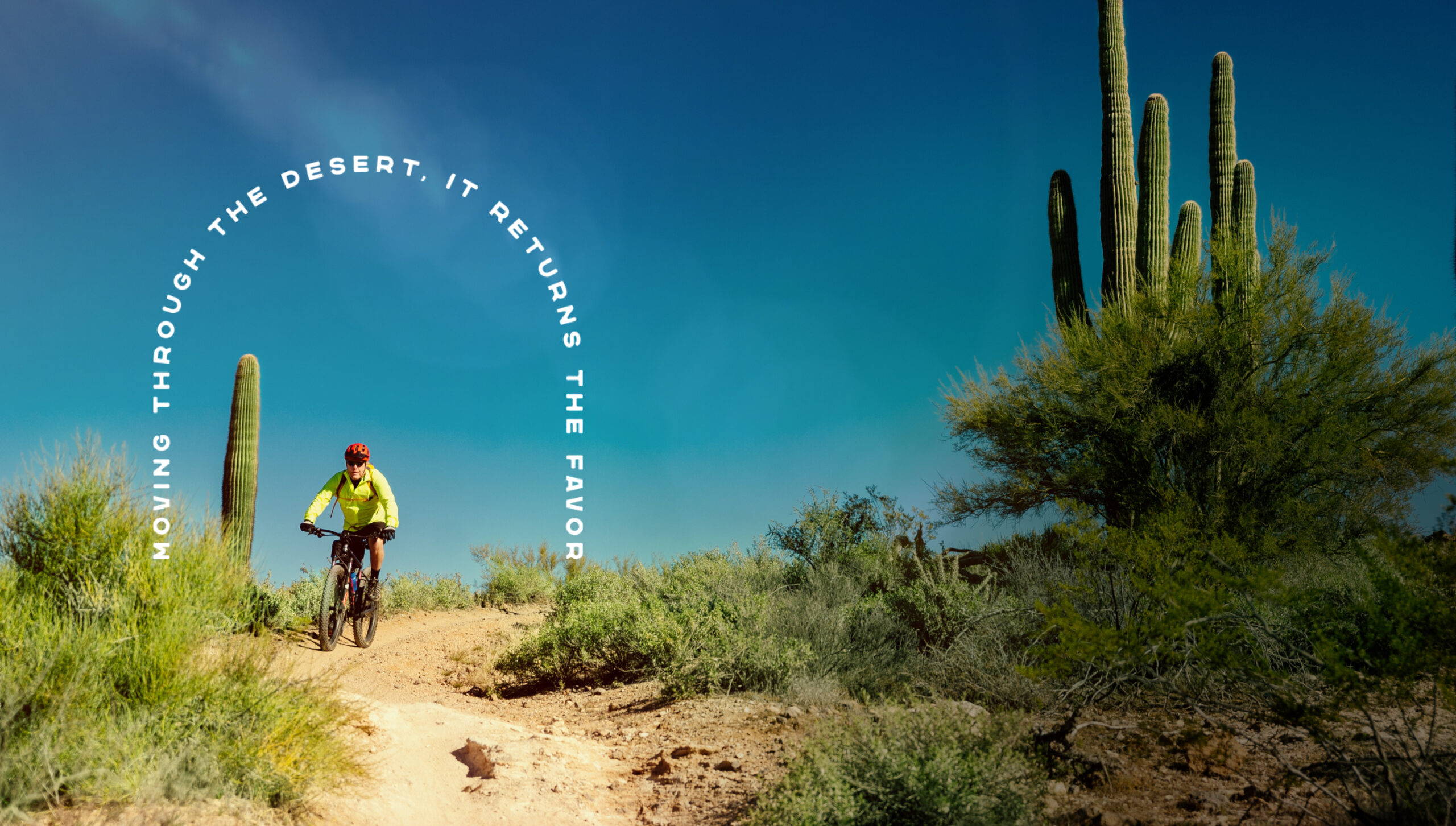 A cyclist navigates a desert trail in Peoria, AZ, weaving between tall cacti under a clear blue sky. White text elegantly arcs around the rider, capturing the essence of Saddleback's scenic beauty.