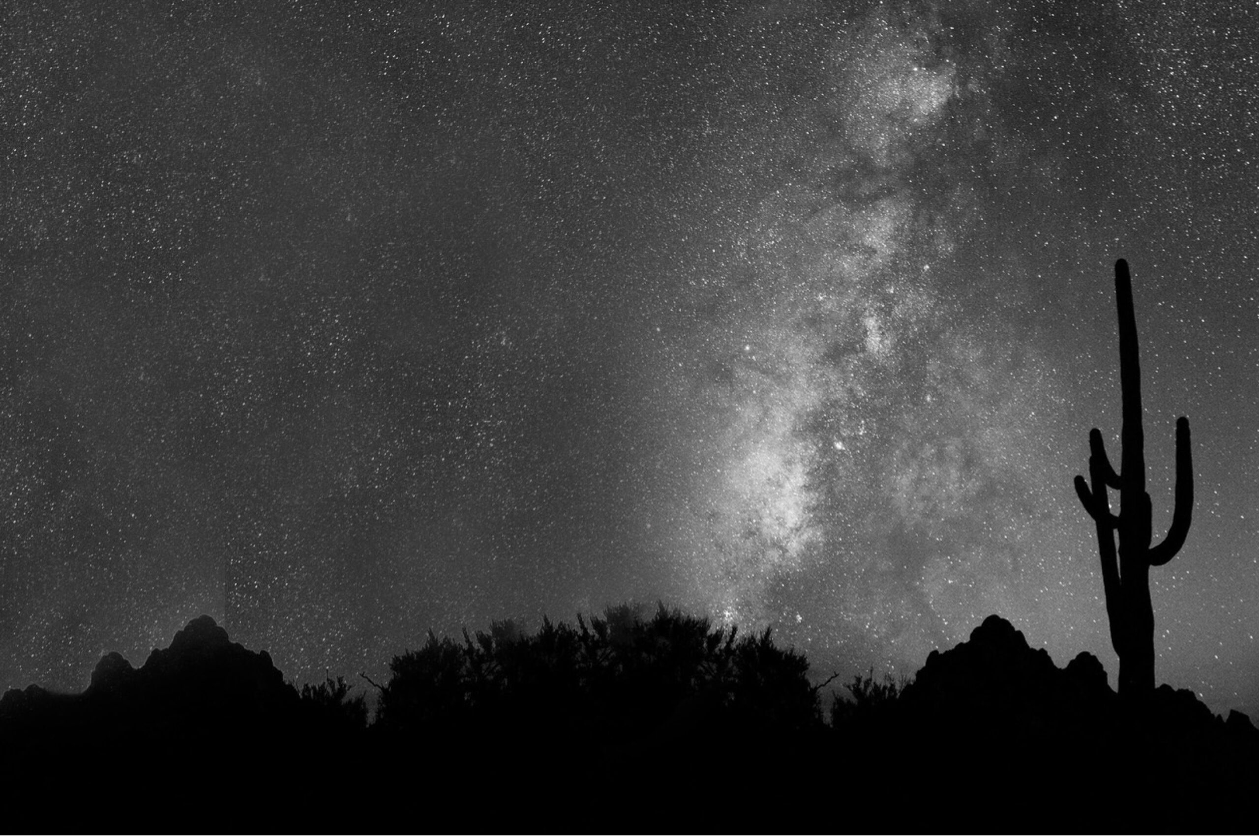 Silhouette of a cactus and desert landscape under a starry night sky with the Milky Way visible, capturing the tranquil beauty near Saddleback in Peoria, AZ.