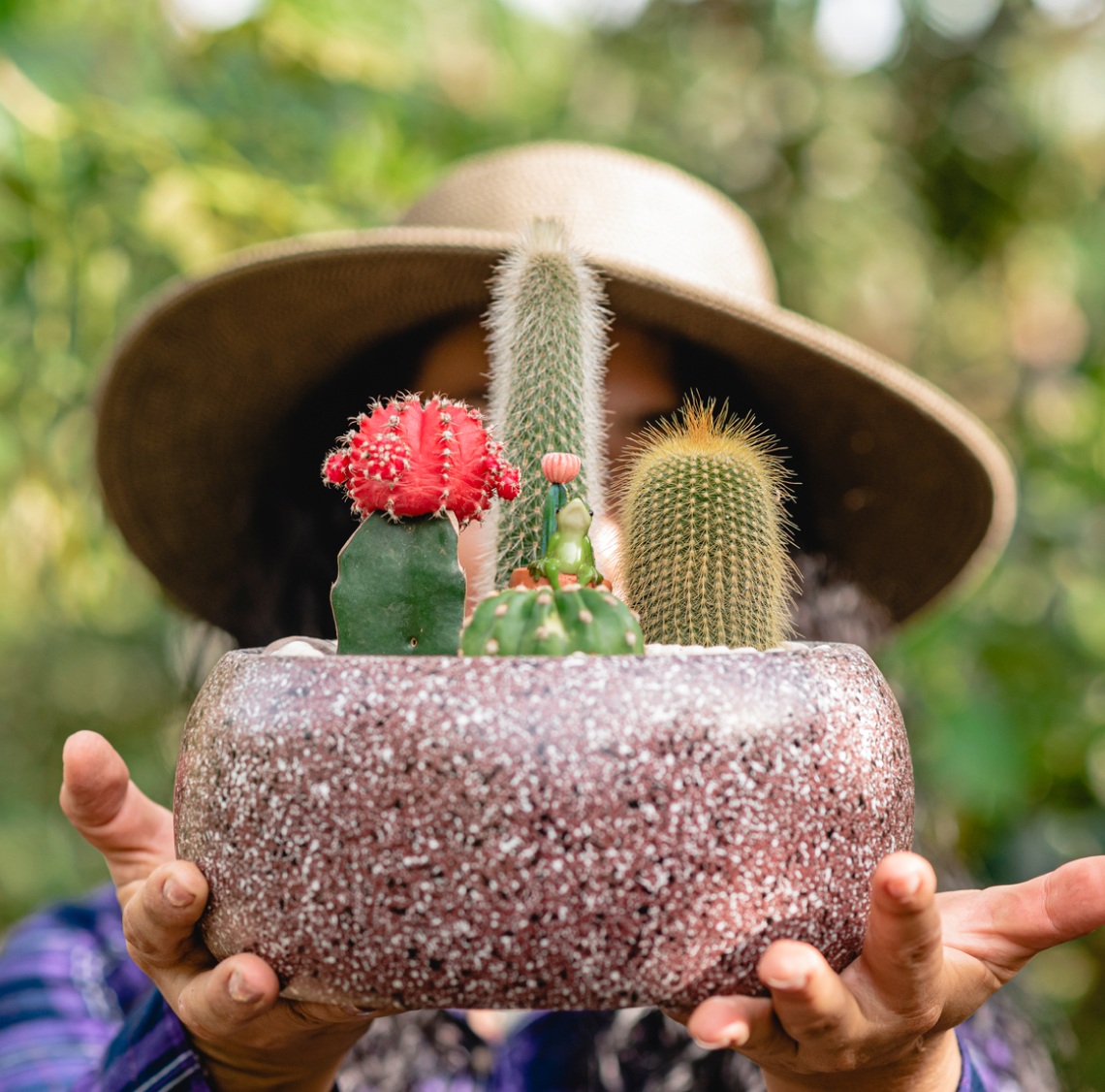 A person holding a stone planter with various cacti, wearing a wide-brimmed hat, stands against the blurred greenery of Peoria AZ.